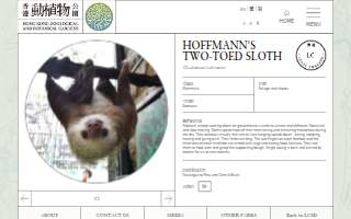 Hoffmann Landscaping