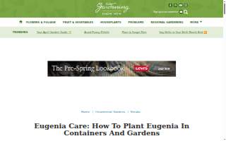 Eugenia Borta (Accountant)