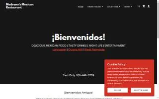 Medrano & Sons Construction LLC website
