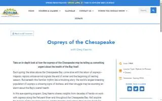 Chesapeake Regional Primary Care-Mt Pleasant website