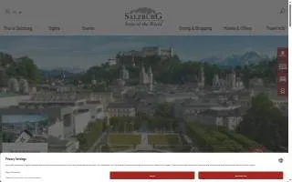 Salzberg Insurance Agency website