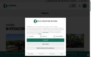 Clemens & Associates Income Tax Services website