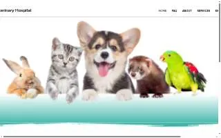 Midway Veterinary Hospital of Chesapeake website
