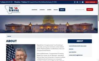 Downing & Co. Small Business Accountant - Salt Lake City website