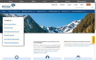 Ladybug Tax DBA Centaurus Accounting and Tax Service