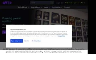 Avid Financial Solutions website