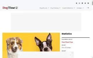 Bossie Electric of Charleston website