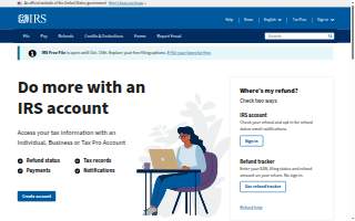 Tax Professionals Inc