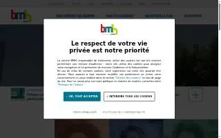 Bmh Fit website