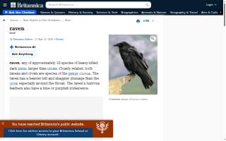 Raven Electric Inc