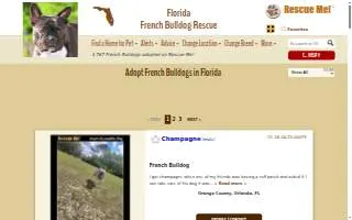 Frenchie's website