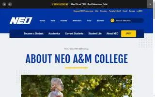 Neo Mode Hair Salon website