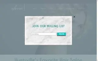 Elleven Salon website
