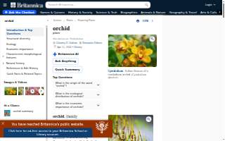 Orchid Salon & Spa
