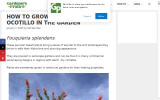 Ocotillo Chiropractic - Ray Rd
