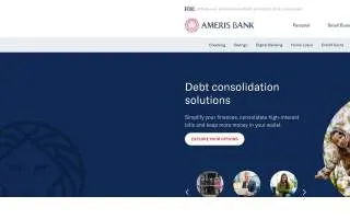 Ameris Construction website
