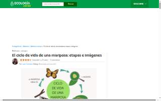 RainforestLA, Inc.