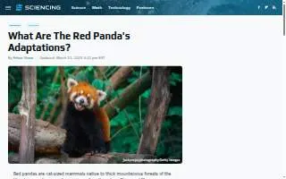 Sandrini's Public House website