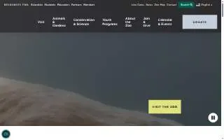 LPZ Auto Repair website