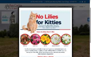 Veterinarian Group Anaheim
