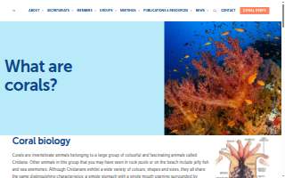 Coral Gables Plumbing Co