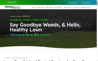 Lawn Doctor of Little Rock