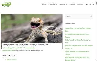 Tokay's LLC website