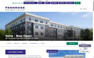 Soria's Tax Services website