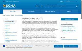 Reach Primary Care