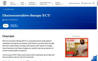 Ect Trucking Services Llc
