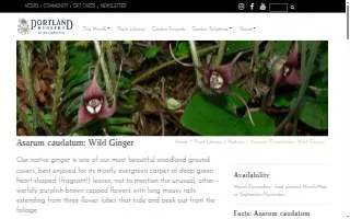 Bites By Braxtons website