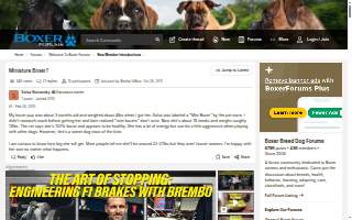 Boxer Realty Group