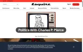 Esquire Tax Solutions website