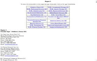 AAA Your Choice website