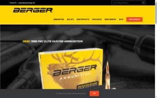 Berger Accounting & Tax Services