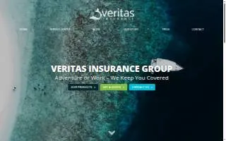 Veritas Insurance Group, Inc. website