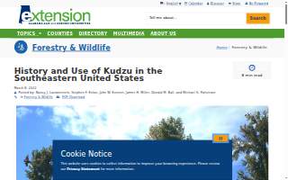 Kudzu Seafood Company