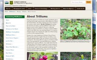 Trillium Caterers