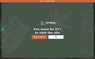 Nirvana Hair Salon website