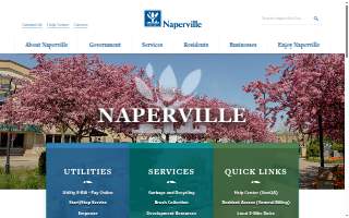 Naperville Plumbing Solution