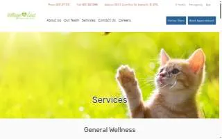 Village East Animal Hospital website