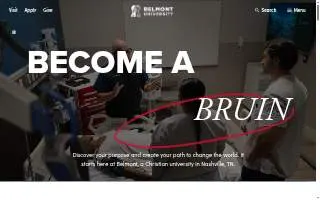 The Belmont Club website