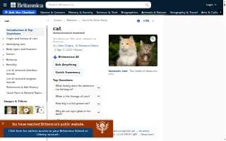 Cats & Dogs Animal Hospital website