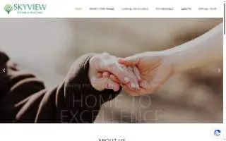 Skyview Center website