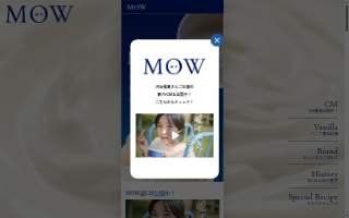 Mow Power INC