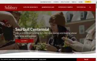 Salisbury Construction Company website