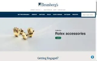 Bromberg Chiropractic website