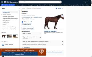 The Horse You Came In On Saloon
