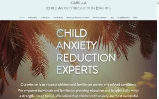 Carela Dealership Llc