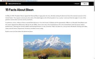 Bison Witches Bar & Deli